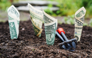 money in soil representing financial growth